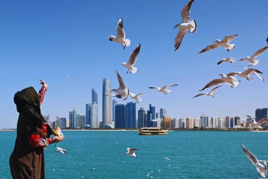 Abu Dhabi which is better