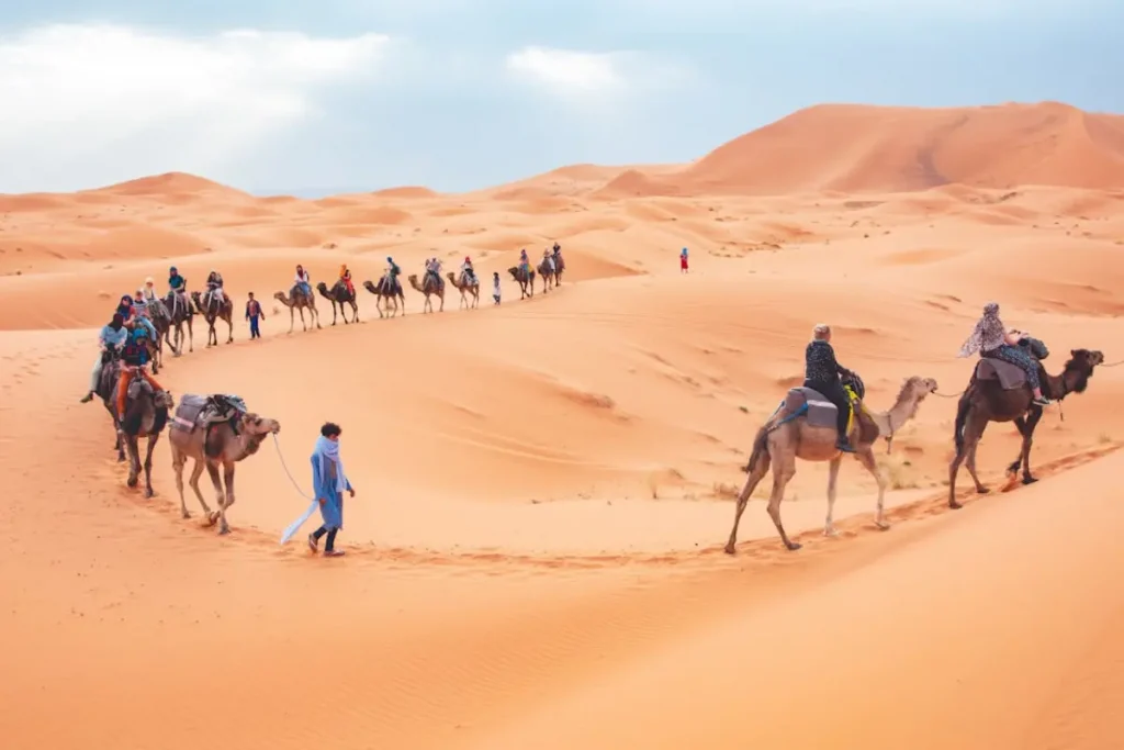 Safety in Desert Safari Dubai