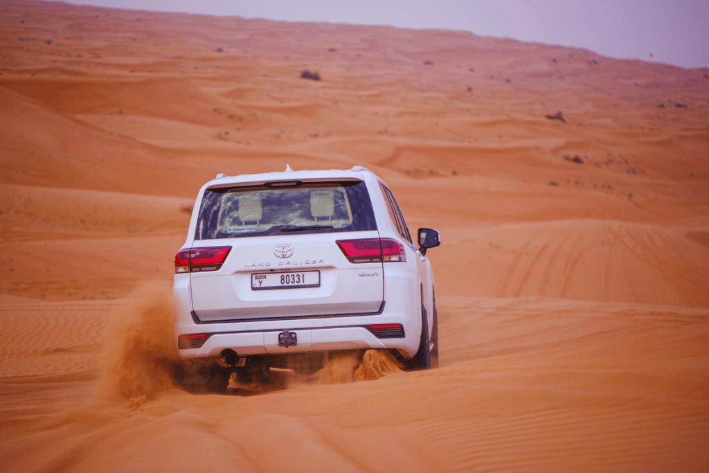Top-Rated Operators and Licensing Tips for Dubai Desert Safaris