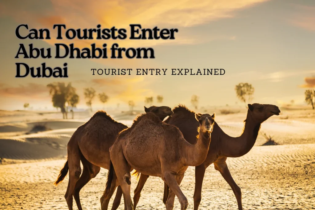 Can Tourists Enter Abu Dhabi from Dubai (1) (1)