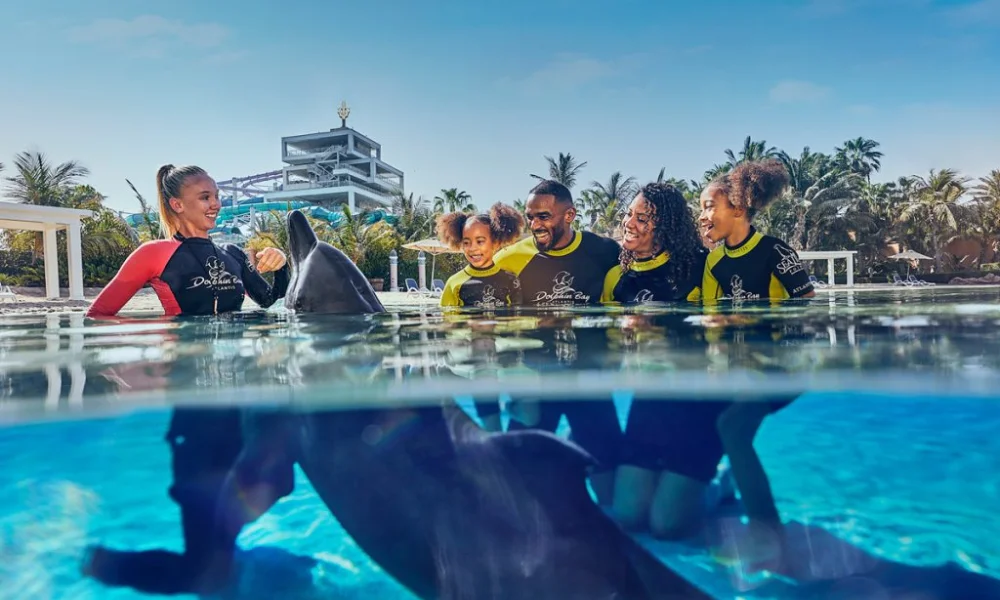 Free Things to Do in Dubai with Kids Parks, Beaches, Souks, Nature & Family Fun