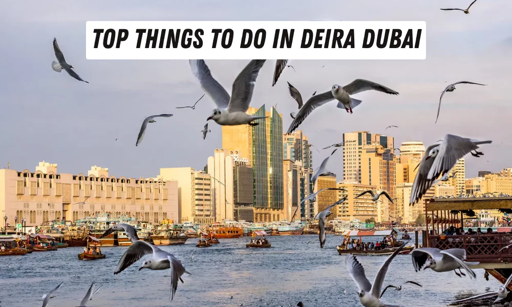 Top Things to Do in Deira Dubai