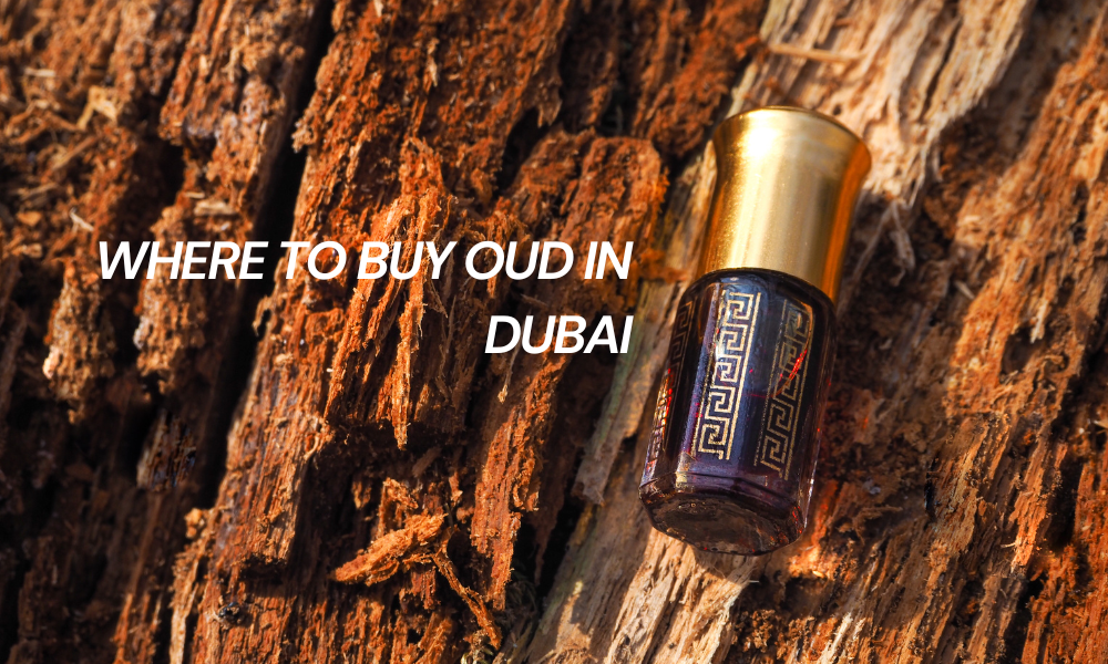 Where to Buy Oud in Dubai (1)
